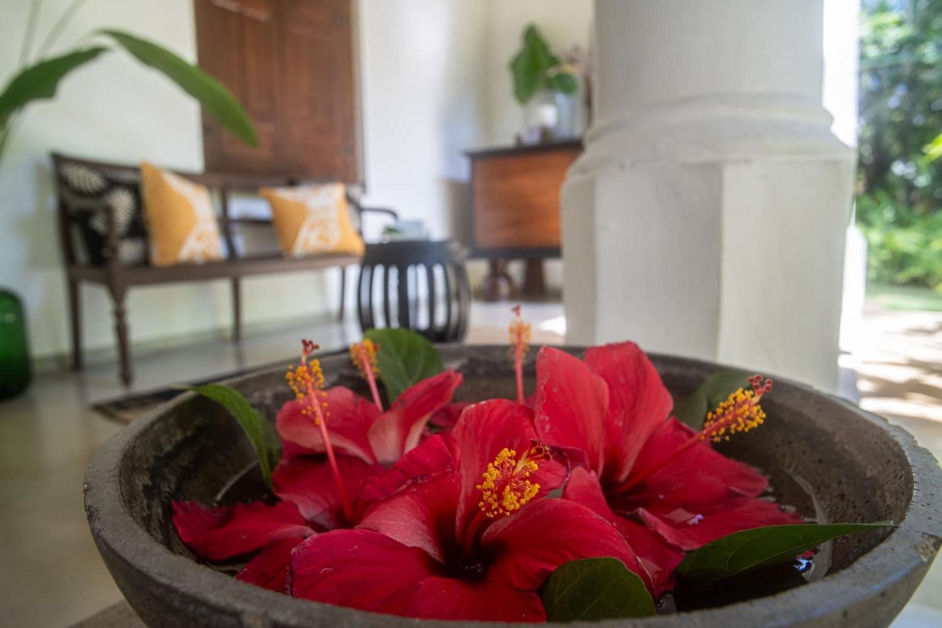 Mo River House Luxury Villa Хиккадува Экстерьер фото